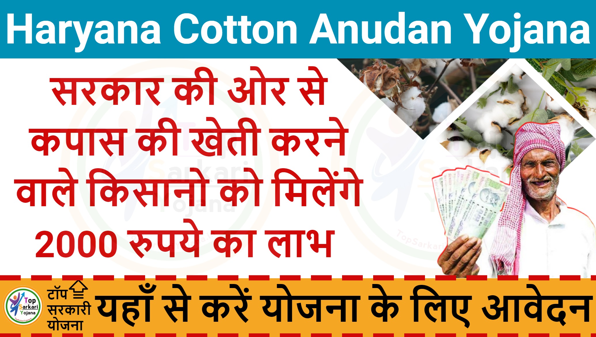 Haryana Cotton Anudan Yojana - हरियाणा के किसानों को मिलेंगे 2000 रूपये तक का लाभ